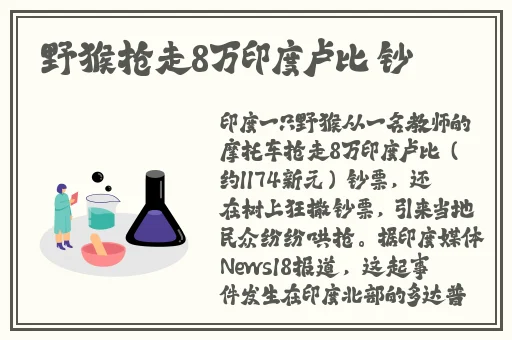 男人的天堂av2017在线
